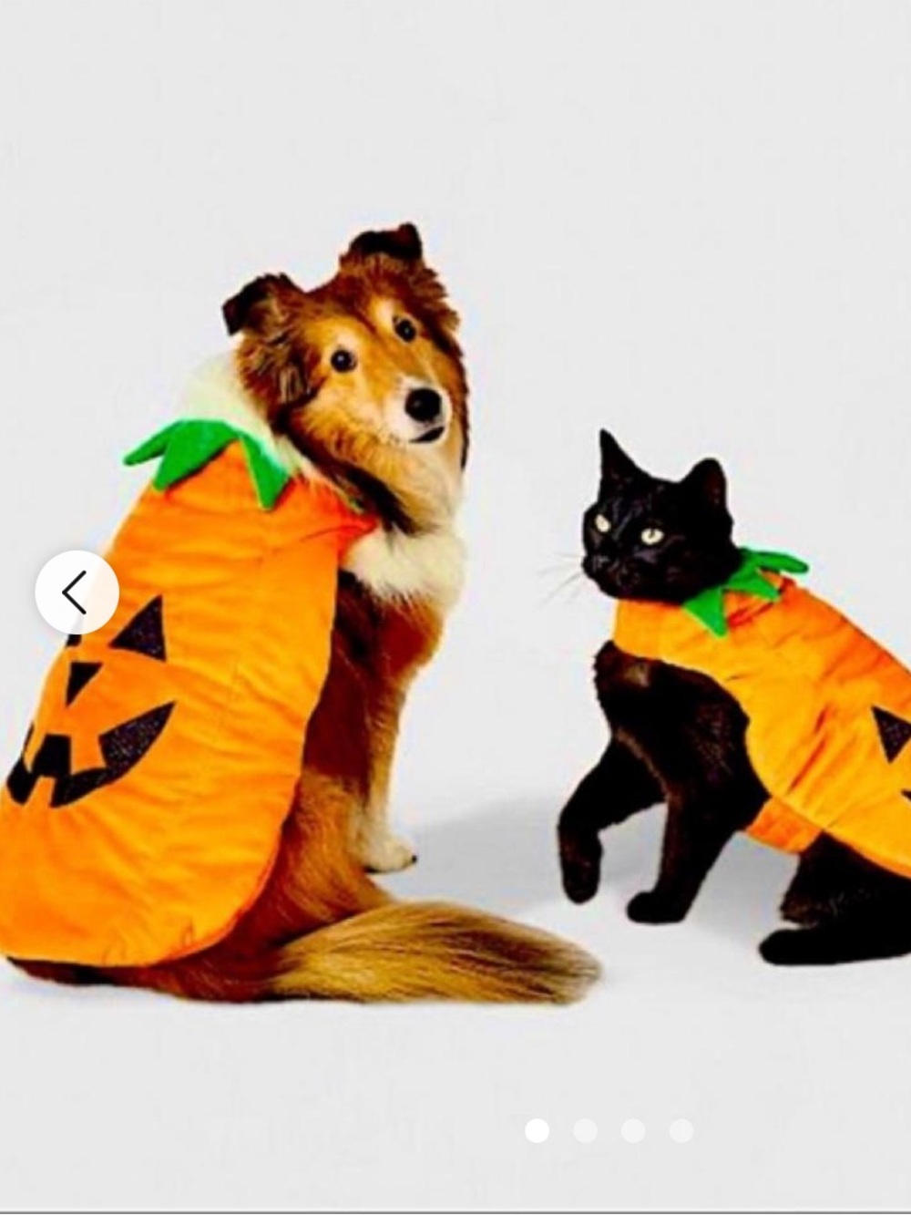 Top Paw pumpkin Halloween costume